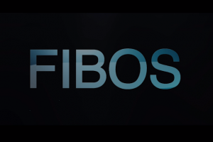 FIBOS 社区联合发起的第二季 Dapp 大赛获奖名单