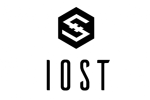 IOST的发行总量、流通量以及成本发行价格及主要投资机构
