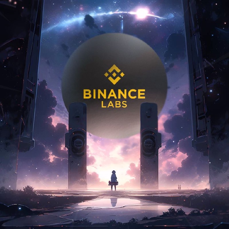 Binance Labs投资门类梳理，DeFi、基建占比领先