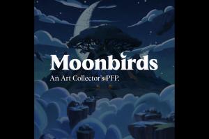 创始人亲诉：让人心灰意冷的 Moonbirds 今年都干了什么 ？